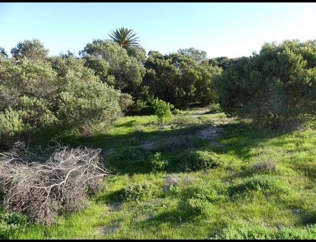 LAND FOR SALE IN SHELLEY POINT